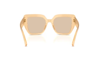 Bagside Dolce & Gabbana DG4538 (308993)