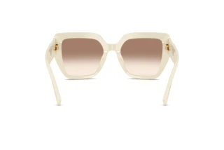 Bagside Dolce & Gabbana DG4538 (331294)