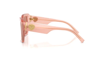 Sidevisning Dolce & Gabbana DG4538 (338496)