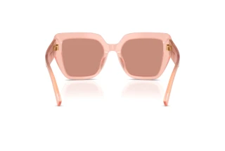 Bagside Dolce & Gabbana DG4538 (338496)
