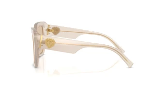 Sidevisning Dolce & Gabbana DG4538 (342093)