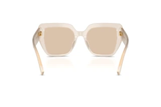 Bagside Dolce & Gabbana DG4538 (342093)