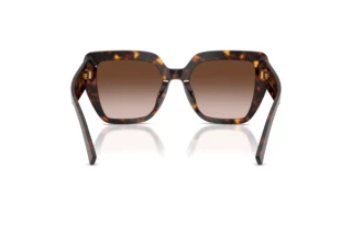 Bagside Dolce & Gabbana DG4538 (502/13)