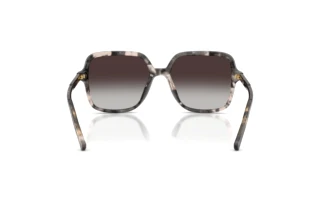 Bagside Dolce & Gabbana DG4539 (31728G)
