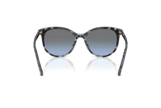 Bagside Dolce & Gabbana DG4540 (34438F)