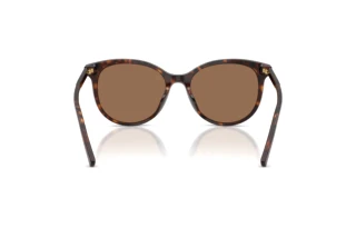 Bagside Dolce & Gabbana DG4540 (502/13)