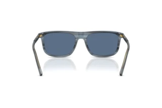 Bagside Dolce & Gabbana DG4542 (348280)