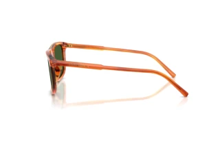 Sidevisning Dolce & Gabbana DG4542 (348371)