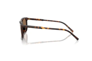 Sidevisning Dolce & Gabbana DG4542 (502/73)