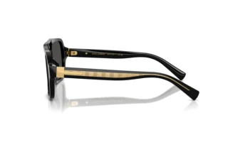 Sidevisning Dolce & Gabbana DG4544 (501/87)