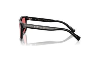 Sidevisning Dolce & Gabbana DG4545 (501/75)