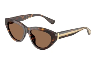 Forfra Dolce & Gabbana DG4558 (502/73)