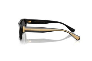 Sidevisning Dolce & Gabbana DG4560 (501/87)