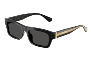 Forfra Dolce & Gabbana DG4560 (501/87)