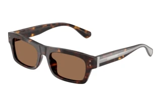 Forfra Dolce & Gabbana DG4560 (502/73)