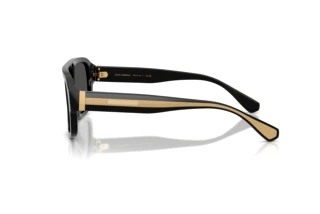 Sidevisning Dolce & Gabbana DG4561 (501/87)
