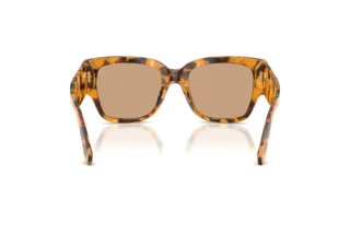 Bagside Dolce & Gabbana DG4563 (349663)