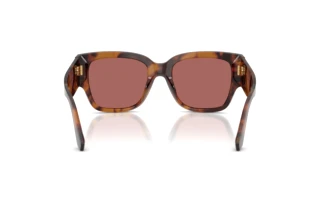 Bagside Dolce & Gabbana DG4563 (349769)