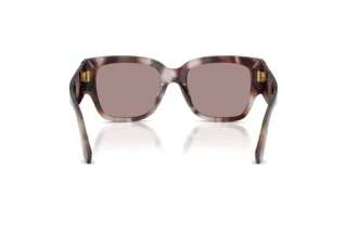 Bagside Dolce & Gabbana DG4563 (3498LA)