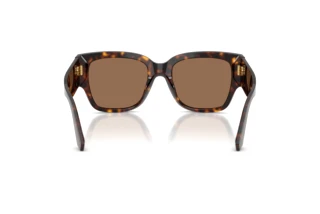 Bagside Dolce & Gabbana DG4563 (502/73)