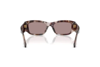 Bagside Dolce & Gabbana DG4564 (3498LA)