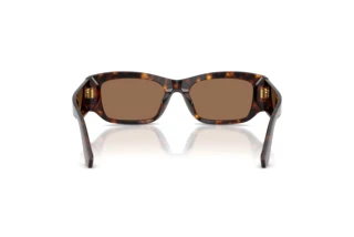 Bagside Dolce & Gabbana DG4564 (502/73)