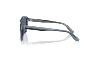 Sidevisning Dolce & Gabbana DG4566 (348280)