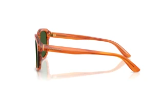 Sidevisning Dolce & Gabbana DG4566 (34839A)