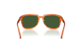 Bagside Dolce & Gabbana DG4566 (34839A)