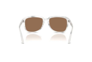Bagside Dolce & Gabbana DG4566 (349573)