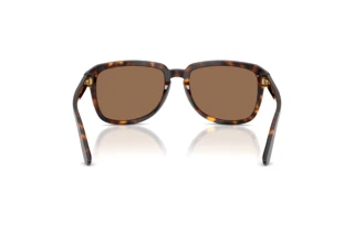 Bagside Dolce & Gabbana DG4566 (502/73)