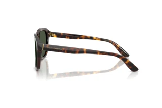 Sidevisning Dolce & Gabbana DG4566 (502/9A)