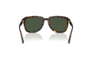 Bagside Dolce & Gabbana DG4566 (502/9A)