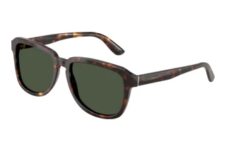 Forfra Dolce & Gabbana DG4566 (502/9A)