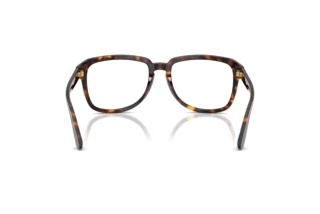 Bagside Dolce & Gabbana DG4566 (502/SB)