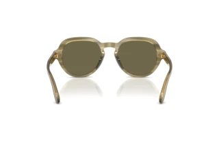 Bagside Dolce & Gabbana DG4567 (3480/3)