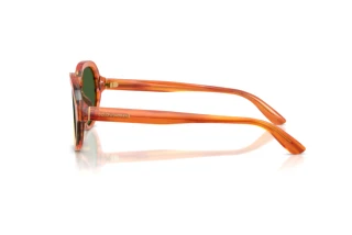 Sidevisning Dolce & Gabbana DG4567 (348371)
