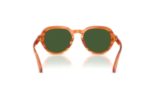 Bagside Dolce & Gabbana DG4567 (348371)