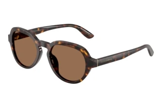 Forfra Dolce & Gabbana DG4567 (502/73)