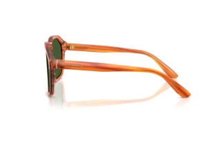 Sidevisning Dolce & Gabbana DG4568 (34839A)
