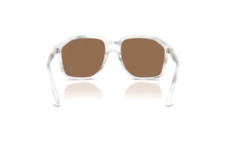 Bagside Dolce & Gabbana DG4568 (349573)