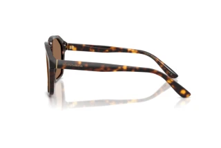 Sidevisning Dolce & Gabbana DG4568 (502/73)