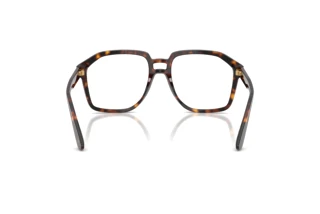 Bagside Dolce & Gabbana DG4568 (502/SB)