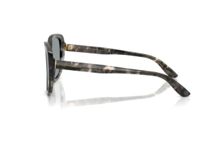 Sidevisning Dolce & Gabbana DG4569 (3172/1)