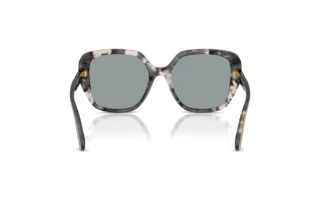 Bagside Dolce & Gabbana DG4569 (3172/1)