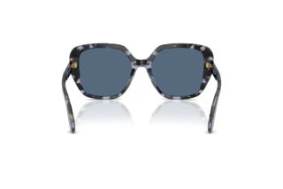 Bagside Dolce & Gabbana DG4569 (344380)