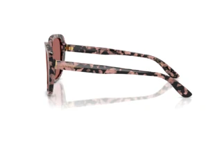 Sidevisning Dolce & Gabbana DG4569 (347669)