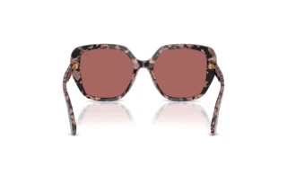 Bagside Dolce & Gabbana DG4569 (347669)