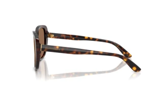 Sidevisning Dolce & Gabbana DG4569 (502/73)