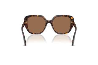 Bagside Dolce & Gabbana DG4569 (502/73)